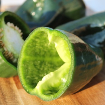 Gemüsechili Ancho Poblano (Schärfe 1) (Samen)