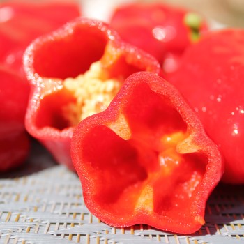 Gemüsechili Cayun Belle (Schärfe 1) (Samen)