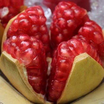 Granatapfel Gabes (Pflanze)
