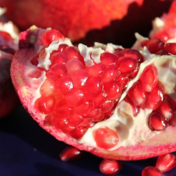 Granatapfel Asmar (Pflanze)