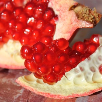 Granatapfel Kazake (Pflanze)