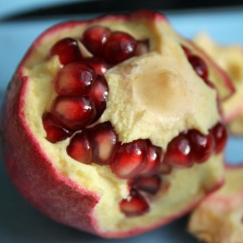 Granatapfel Provence (Pflanze)