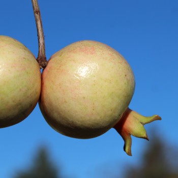 - Kopie - Kopie - Kopie