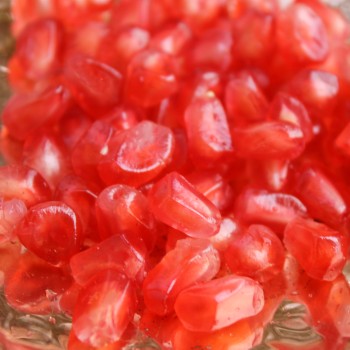 Granatapfel Seedless (Pflanze)