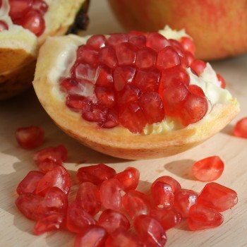 Granatapfel Seedless (Pflanze)