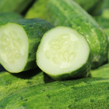 Gurke Bush Crop (Samen)