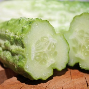 Gurke Bush Pickle (Samen)