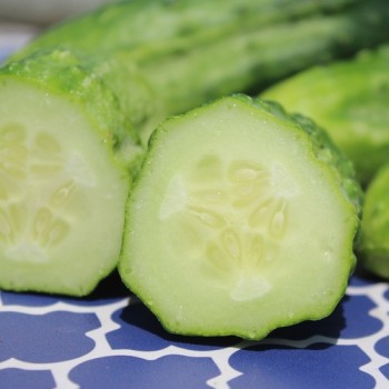 Gurke Bushy (Samen)