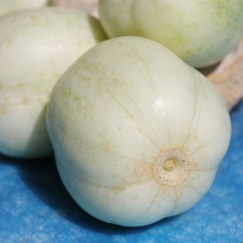 Gurke Chrystal Apple (Samen)