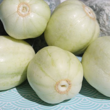 Gurke Chrystal Apple (Samen)