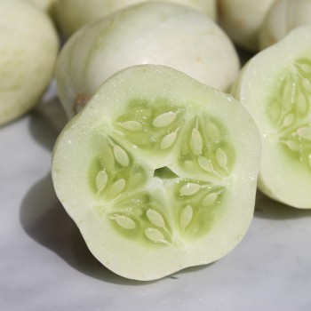 Gurke Chrystal Apple (Samen)