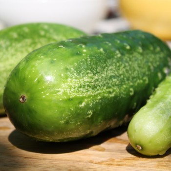 Gurke Homemade Pickles (Samen)