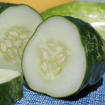 Gurke Homemade Pickles (Samen)