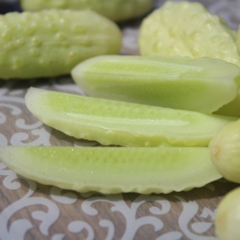 Gurke Miniature White (Samen)