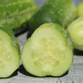 Gurke Monastyrski (Samen)