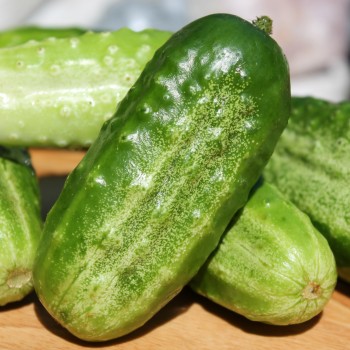 Gurke Parisian Pickling
