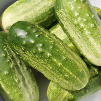 Gurke Parisian Pickling (Samen)