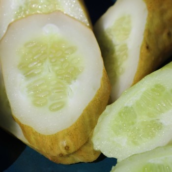 Gurke Phoona Kheera (Samen)