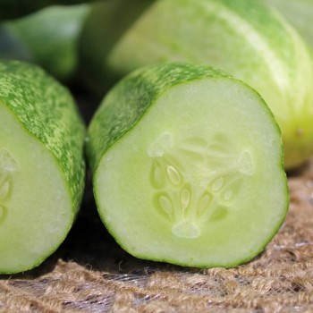 Gurke Rhinish Pickling (Samen)