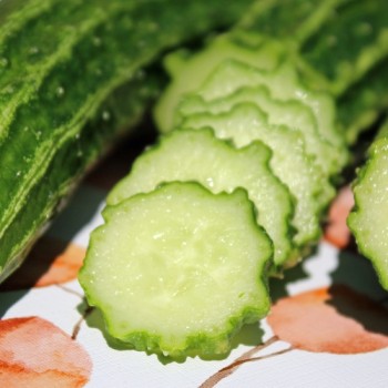 Gurke Suyo Long (Samen)