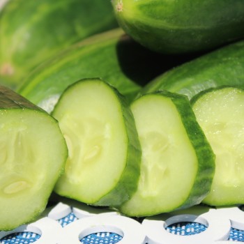 Gurke Tendergreen Burpless (Samen)