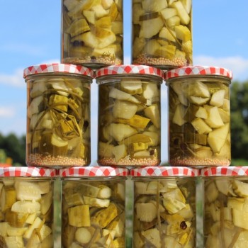 Gurke Vorgebirgstrauben (Samen)