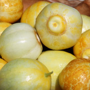 Gurke True Lemon (Samen)