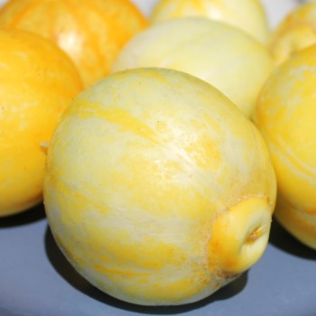 Gurke True Lemon (Samen)
