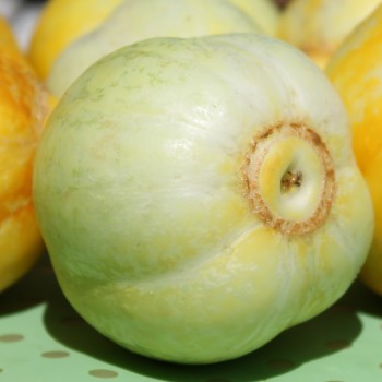 Gurke True Lemon (Samen)