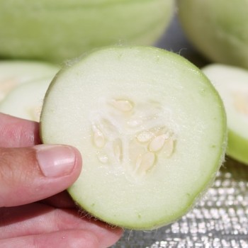 Gurkenmelone Carosello Barese (Samen)