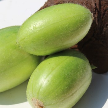 Gurkenmelone Carosello Bianco Leccese (Samen)