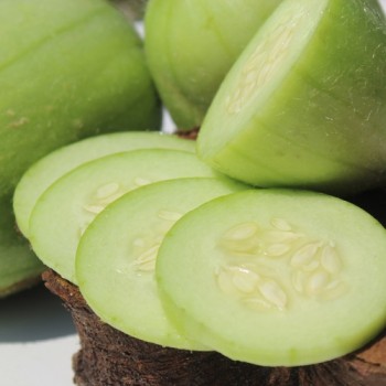 Gurkenmelone Carosello Bianco Leccese (Samen)