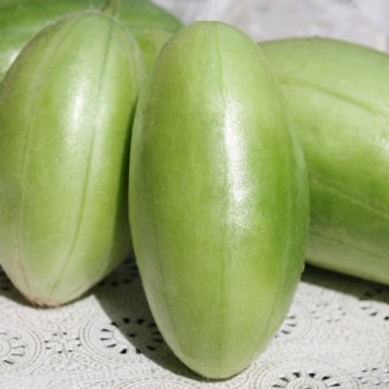 Gurkenmelone Carosello Bianco Leccese (Samen)