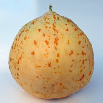 - Kopie - Kopie - Kopie