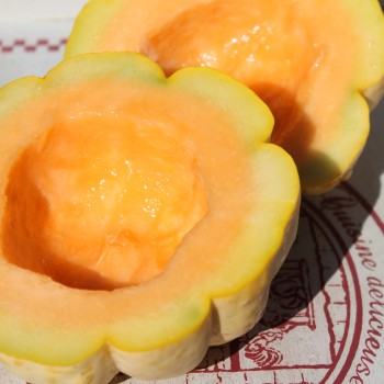 Honigmelone Delice de Table (Samen)