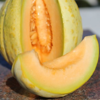 Honigmelone Delice de Table (Samen)