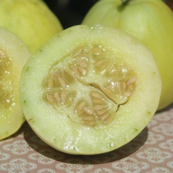 Honigmelone Sakata's Sweet  (Samen)