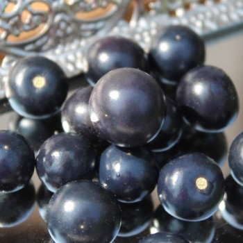 Jaltomate Tomatito Morado (Samen)
