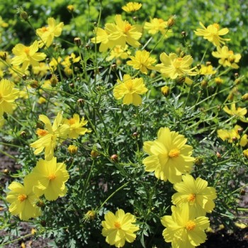 - Kopie - Kopie - Kopie - Kopie - Kopie