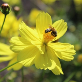 - Kopie - Kopie - Kopie - Kopie - Kopie