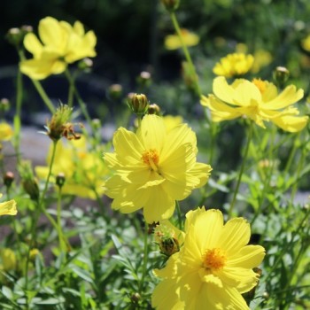 - Kopie - Kopie - Kopie - Kopie - Kopie