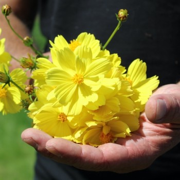 - Kopie - Kopie - Kopie - Kopie - Kopie