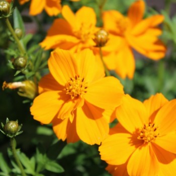 - Kopie - Kopie - Kopie - Kopie - Kopie