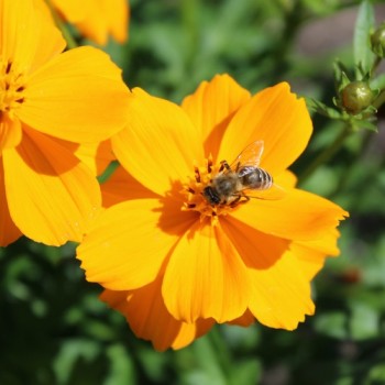 - Kopie - Kopie - Kopie - Kopie - Kopie