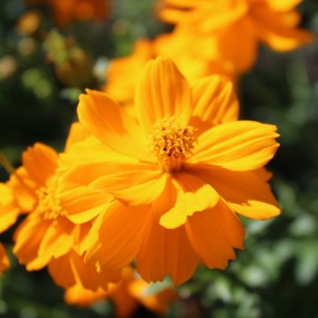 - Kopie - Kopie - Kopie - Kopie - Kopie