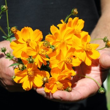 - Kopie - Kopie - Kopie - Kopie - Kopie