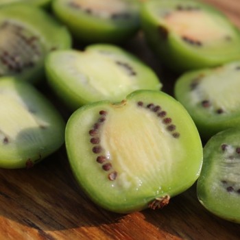 Mini-Kiwi Chang Bai weiblich (Pflanze)
