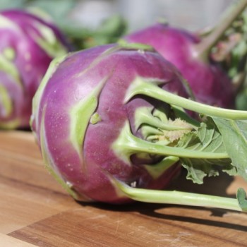 Kohlrabi Dyna (Samen)