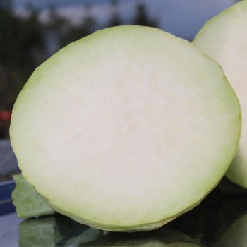 Kohlrabi Gigant (Samen)