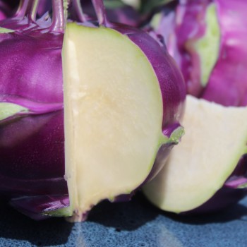 Kohlrabi Vienna Purple (Samen)